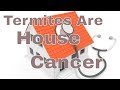 Termites are House Cancer