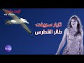 Taylor Swift | The Albatross | أحدث أغاني تايلر سويفت مترجمة