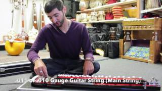 DN Kedar Bulbul Tarang Shahi Baja Indian Banjo for Sale