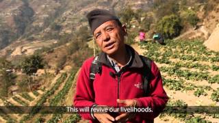 Back on the Farm: Strawberry entrepreneurs in Nepal