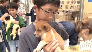 令和元年10月16日「動物愛護フェスティバル…他2件」