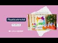 Psmsgs  coffret  plasticotricit  par serge boche conseiller pdagogique et auteur