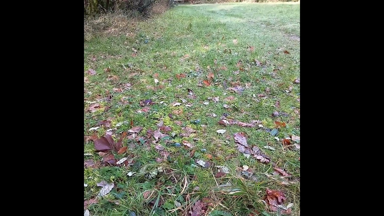 3 EXERCICES SIMPLES 💥💥💥 Prenez le temps pour vous 💜