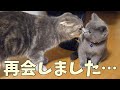 再会…