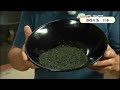 【みやざきふるさと中継】＜釜炒り茶　日本一＞10月27日 放送分