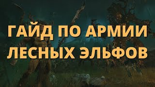 Гайд по ушастым древолюбам Total War Warhammer.