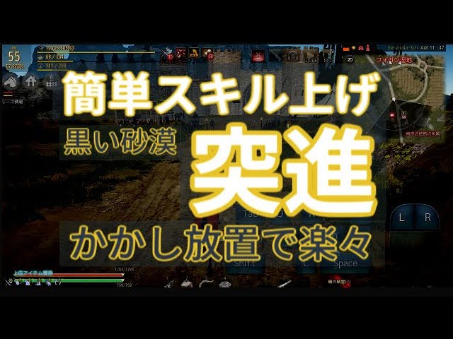 突進 簡単スキル上げ かかし放置 黒い砂漠 185 突進 簡単スキル上げ かかし放置 黒い砂漠 185