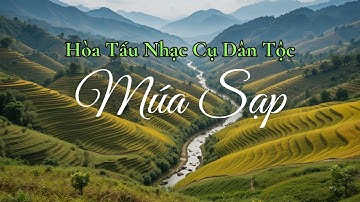 Nhạc Múa Sạp | Nhạc Nhảy Sạp Tây Bắc Hay Nhất | Hòa Tấu Nhạc Cụ Dân Tộc | Giai Điệu Bốn Mùa