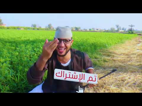 يا سلام علي مخك البلالنط يا بحر العالم يا جمهور الحاج مقطوش 