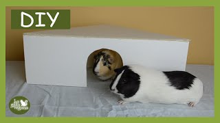 DIY CASETA ESQUINERA PARA COBAYAS, CONEJOS, CHINCHILLAS Y ERIZOS FÁCIL Y BARATA | LA GATA VEGANA