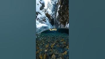 #تلاوة #خاشعة #اكسبلور # آيات# الذكر # الحكيم#