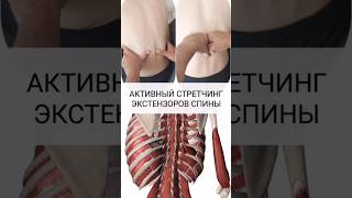 Терапия спазма разгибателей спины/ Фасциальный массаж/ Активный стретчинг/ #massage #массаж