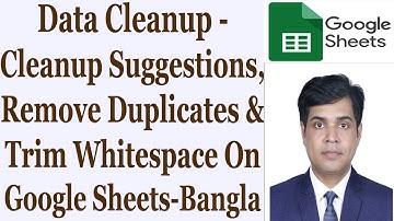 Data Cleanup - Cleanup Suggestions, Remove Duplicates & Trim Whitespace On Google Sheets - Bangla