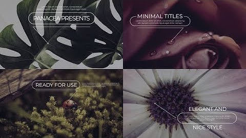 Elegant Callout Titles 4k Motion Graphics Templates