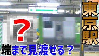 【東京駅】プラットホームを端から端まで見通せるまで帰れません！