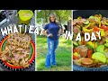 WHAT I EAT IN A DAY: Realistic, Healthy, &amp; Balanced | VLOG 🌻