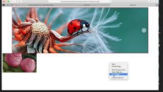 11 Slide Show next prev click