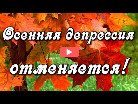 36 советов, как превратить осеннюю хандру в прекрасное настроение.