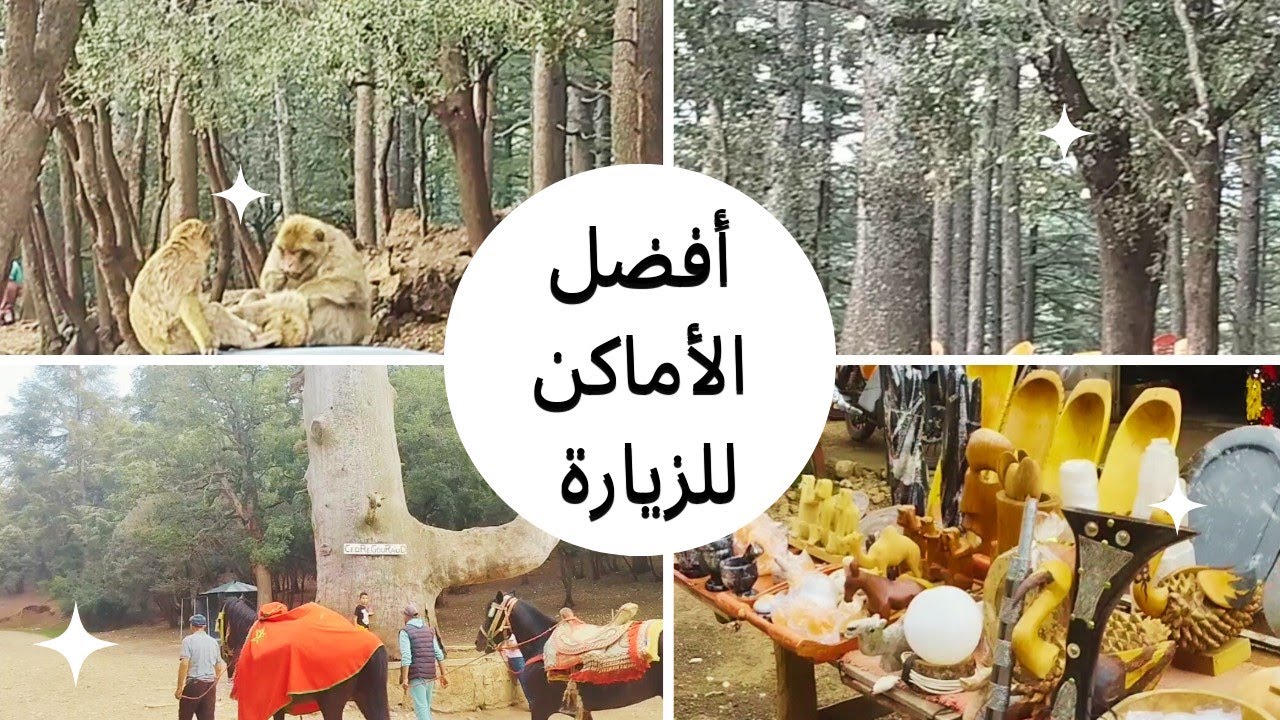 YouTube youtube