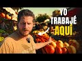 VOLVÍ AL LUGAR DONDE TRABAJÉ HACE 20 AÑOS | ASHDOD