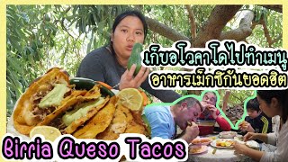 EP.68 ช่วยพ่อสามีเก็บอโวคาโดที่สวนไปขาย ทำอาหารเม็กซิกันยอดฮิตเมนู Birria Queso Tacos ชีสเยิ้มๆ