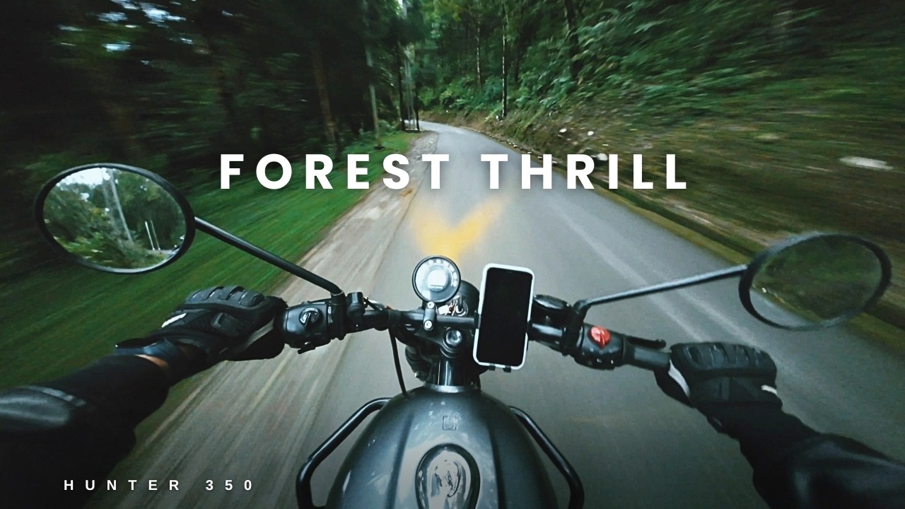 Insane Forest Ride on Hunter 350 | PureSound POV