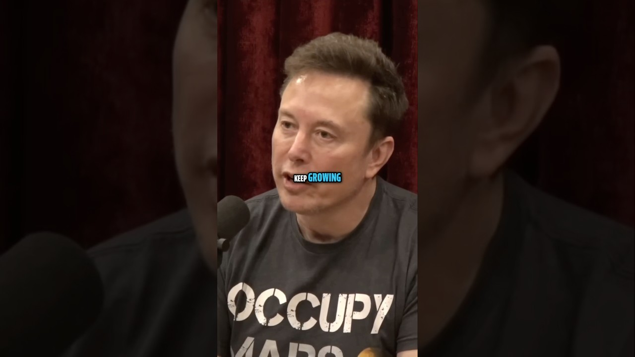 Bureaucracy vs. Innovation: SpaceX’s Rocket Delays 