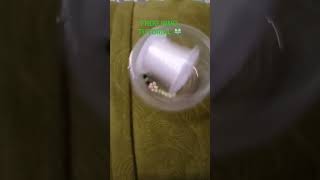 FROG RING TUTORIAL 🐸 #FOREVER BEADS #SHORTS