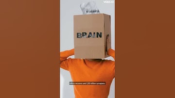 Unveiling the Wonders of the Human Brain