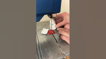 Holder 👍 #tipcentric #springonshorts