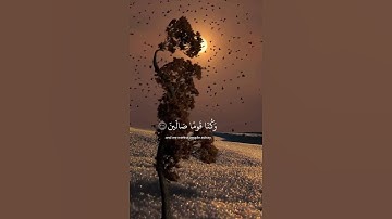 قرآن كريم بصوت جميل #قران_كريم #اكسبلور #راحة_نفسية #المصحف #quran #قرآن
