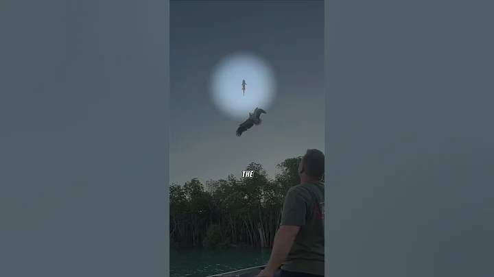 Man Feeds Wild Eagle Midair from His Boat (@treknaustralia)