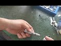 Dental handpiece repair video- Change steel ball of straight handpiece