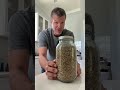 How to grow your own micro greens (super easy even in a tiny space)
