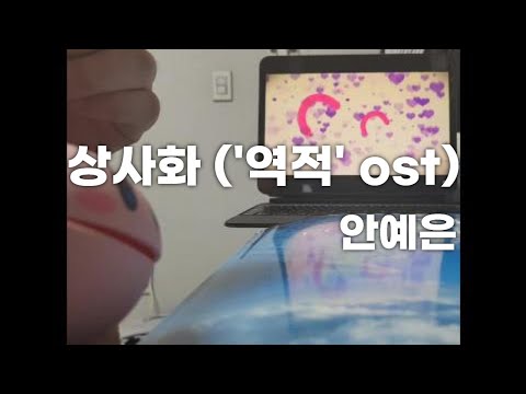 상사화(역적 ost) - 안예은 ver.오타마톤