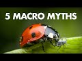 5 Myths that Macro Photography Beginners Believe