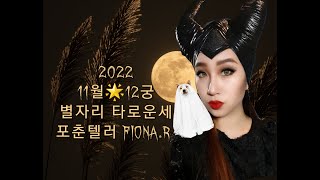 2022⭐11월 열두별자리 타로운세