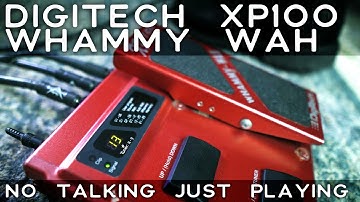 Digitech XP100 Whammy-Wah Pedal - No Talking, Just Playing