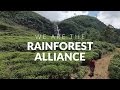 We are the rainforest alliance