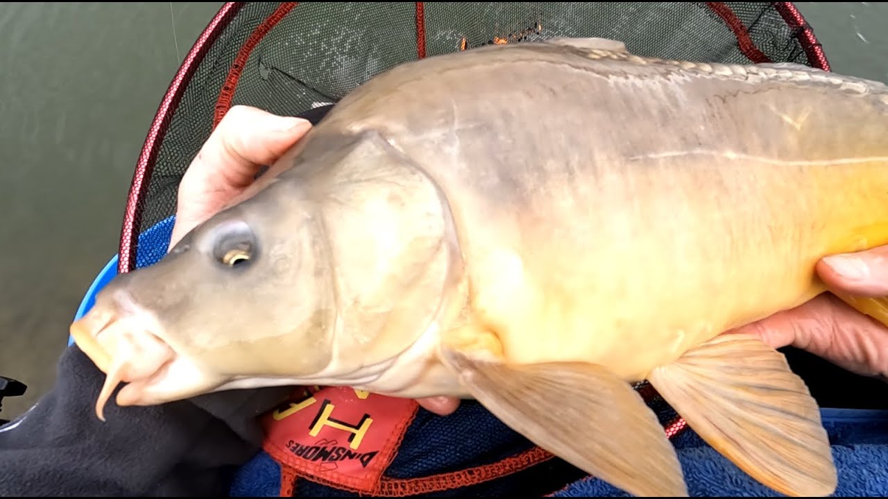 VÂNT ȘI NEBUNIE PE BALTA NERA