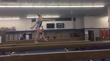 Switch Leap Switch Half-Beam- In Progress- 2018