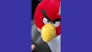 Thrifting for Flipping 956 Flipz Style @ Goodwill Brownsville Texas *bonus content*  =)