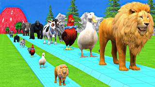 Download Lagu Happy New Year 2026✨Sweet Long Slide Game With Cow Elephant Gorilla Hippo Tiger Funny 3d Animal Game MP3