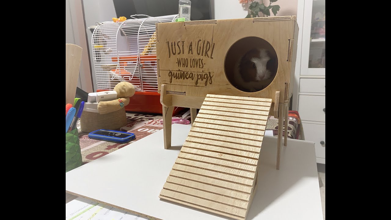 Casa para cobayas y conejos.