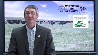 Historic Cattle Prices Meet Severe Drought Concerns