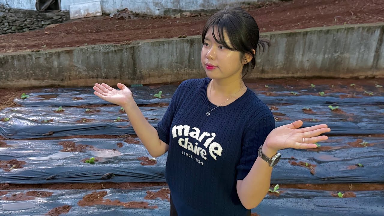 배추 심기! 요즘 MZ는 농사도 스마트하게 | 전원주택 텃밭 브이로그