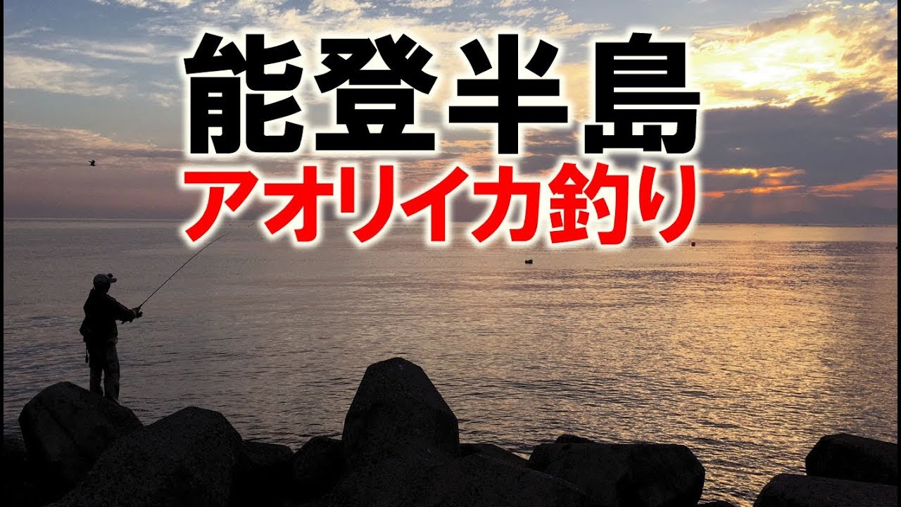 アオリイカ 能登半島 内浦にてエギング釣り 釣りと自然をこよなく愛す写真家
