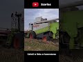 Oporowe żniwa 2023 #oporowocałodobowo #claas #lexion #żniwa #shorts