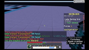 How to do the Aspect of the End Speed glitch!