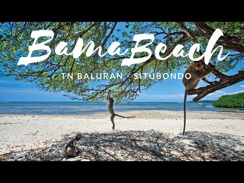 PANTAI BAMA - TN BALURAN SITUBONDO